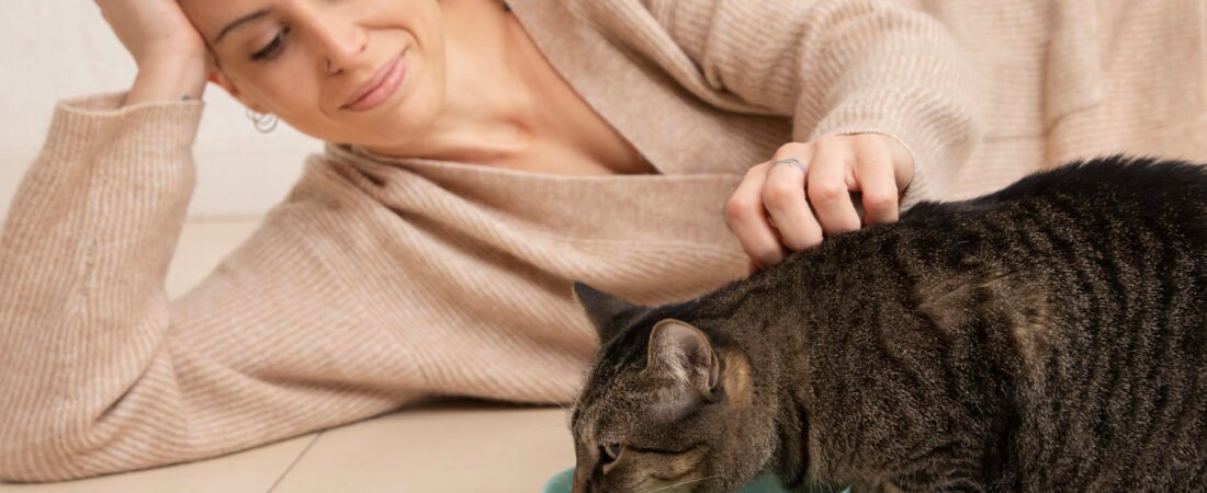 Best Kitten Wet Food Top Nutrient-Rich Options for Healthy Growth