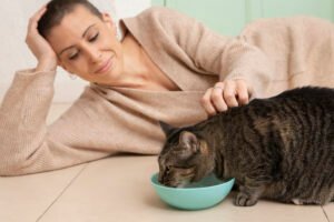 Best Kitten Wet Food: Top Nutrient-Rich