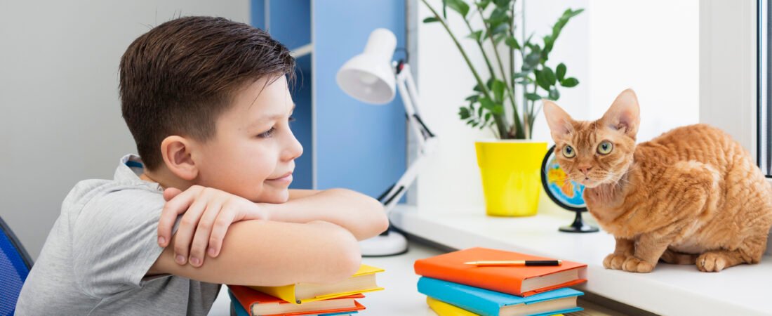 Why Cats are always patient with children? A Guide for Families